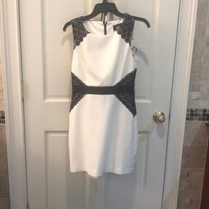 Shelli segal Lace and faux leather dress